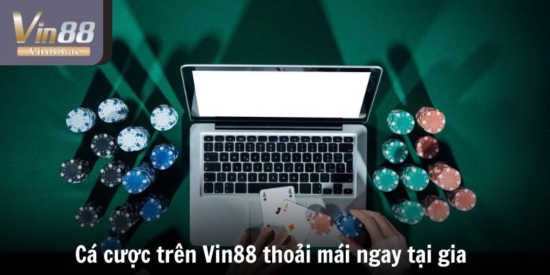 VIN88 Có Lừa Đảo Không - Cân Nhắc Trước Khi Đặt Cược 2 Cá cược trên Vin88 thoải mái ngay tại gia