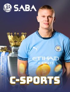 csports portrait 230x300 1