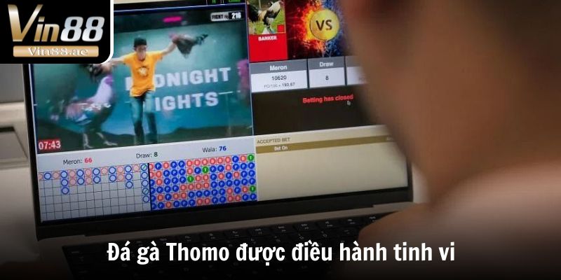 Đá Gà Thomo - Thánh Địa Chọi Kê Đẳng Cấp Số 1 Thế Giới 1 Đá gà Thomo được điều hành tinh vi