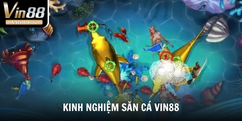 Bắn Cá Vin88 - Trải Nghiệm Săn Cá Đỉnh Cao Thắng Lớn 2025 5 Một số săn cá hiệu quả tại nhà cái Vin88