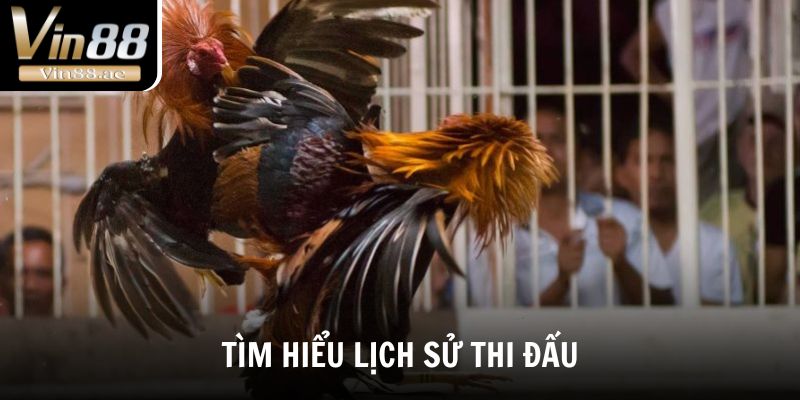 Đá Gà Vin88 Sảnh Chơi Cá Cược Đỉnh Cao, Kèo Hấp Dẫn 4 Tìm hiểu lịch sử thi đấu của chiến kê để đánh giá